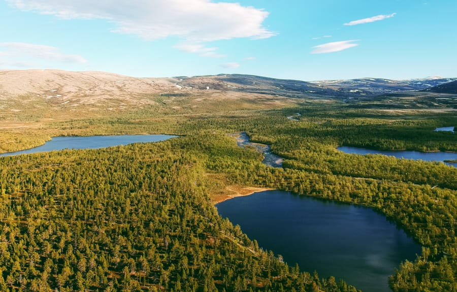 6 raisons de visiter le parc national de Stabursdalen dans le nord de la Norvège